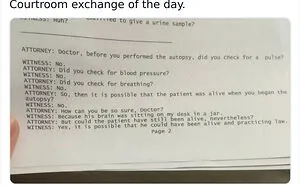 “Hol’up, Wait A Minute”: 50 Posts That Go From 0 To 100 Really Quick (New Pics)
