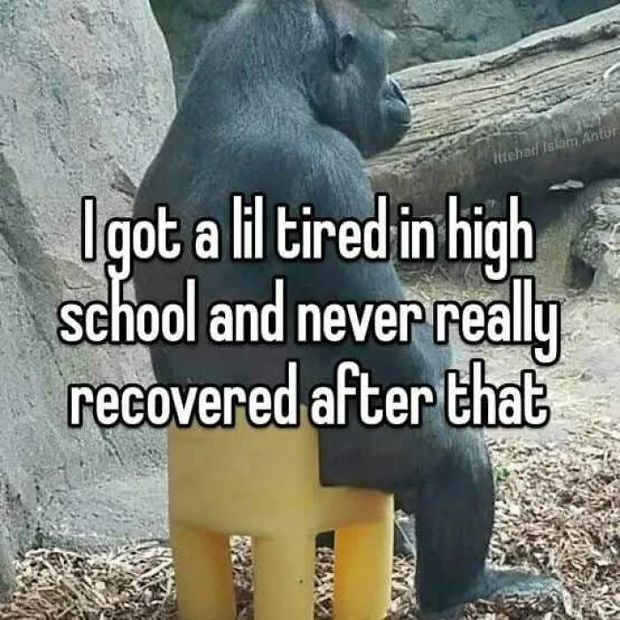 50 Funny And Relatable Memes “Served With A Side Of Cyanide”