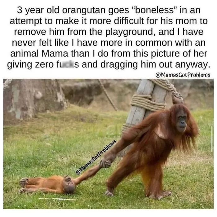 50 Chaotic And Funny Memes That Show What Parenting Is All About (New Pics)