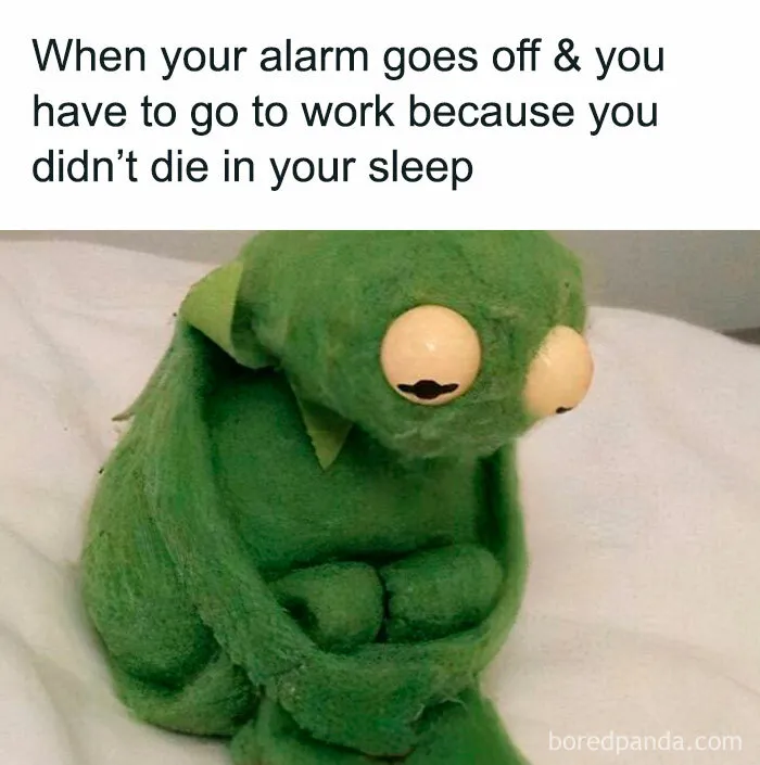50 Memes That Turn Nothingness And Despair Into Something To Laugh About