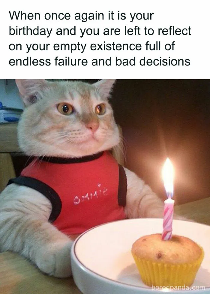 50 Memes That Turn Nothingness And Despair Into Something To Laugh About