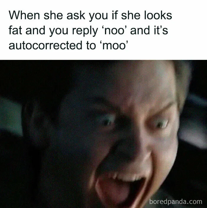 50 Funny And Random Memes To Brighten Your Day