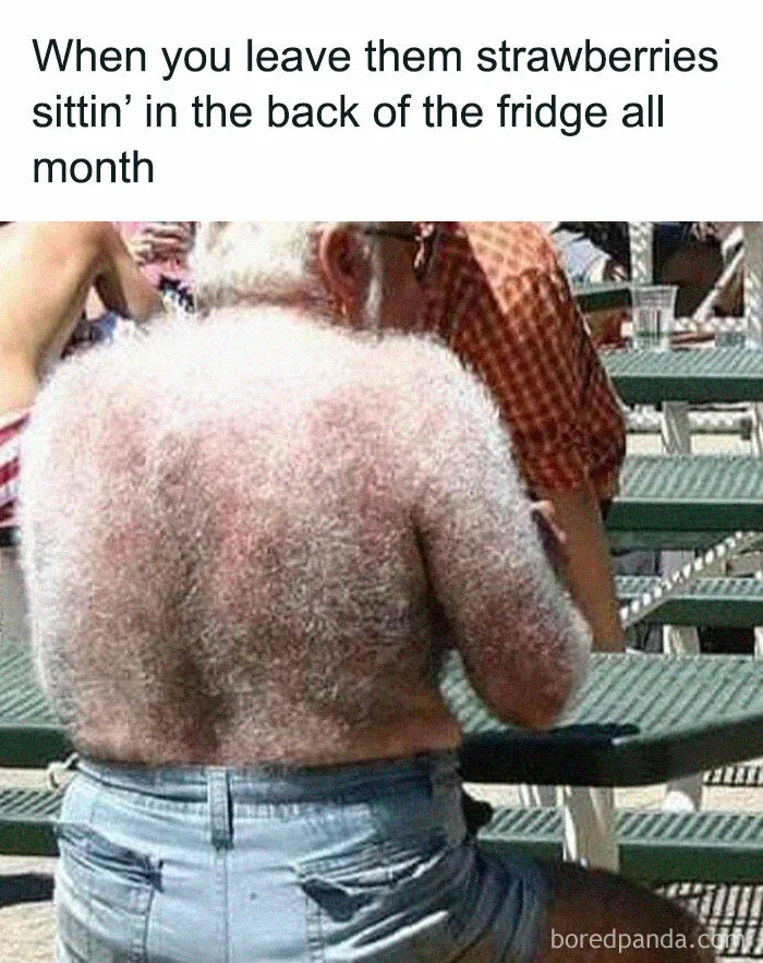 50 Funny And Random Memes To Brighten Your Day