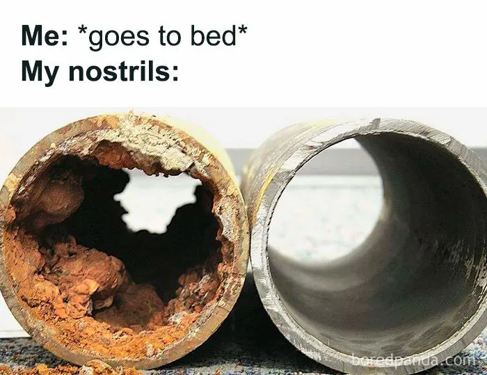 50 Funny And Random Memes To Brighten Your Day