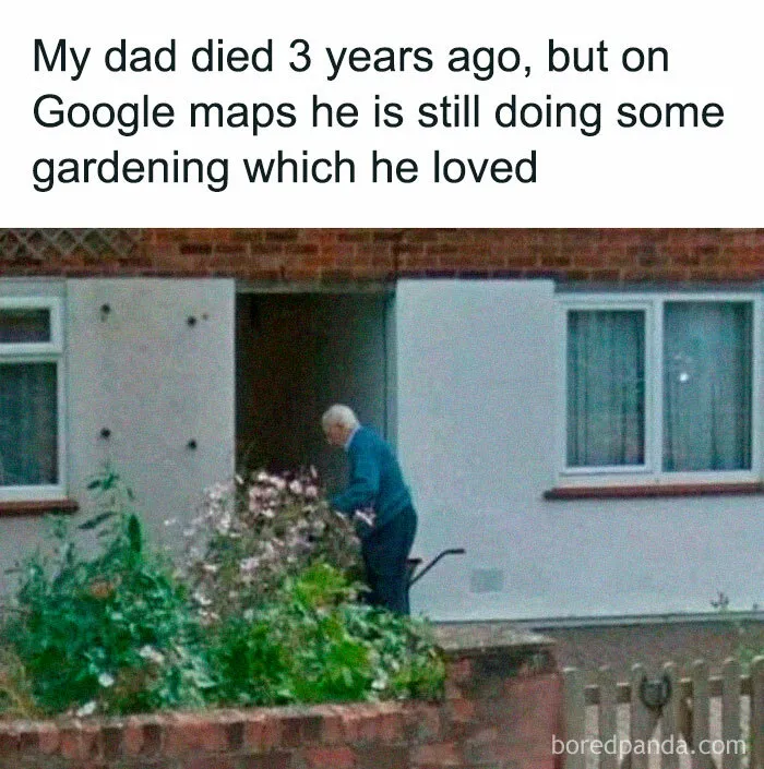 50 Funny And Random Memes To Brighten Your Day