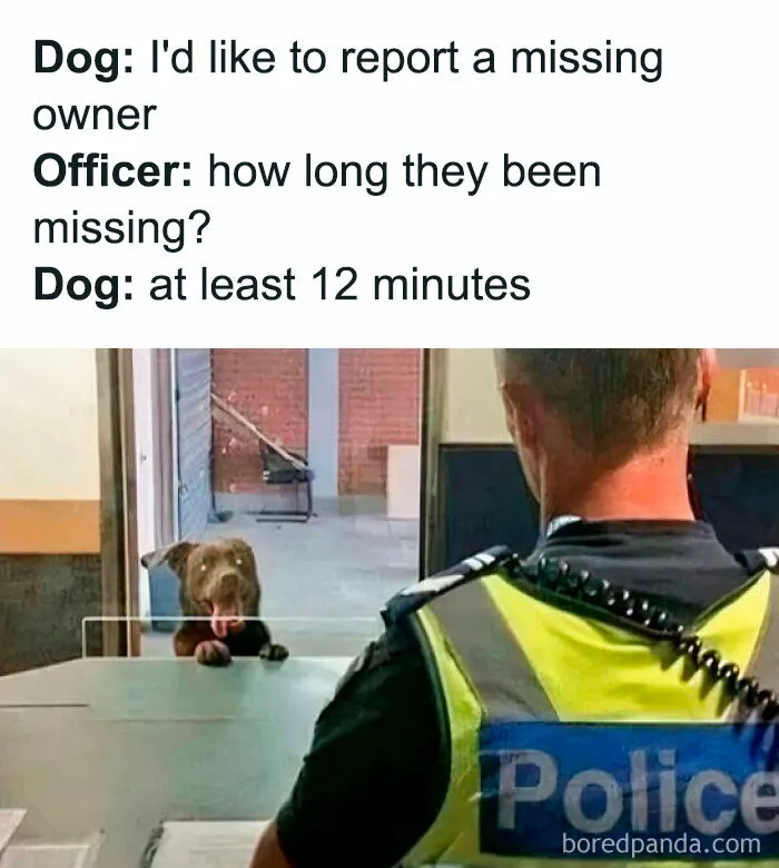 50 Funny And Random Memes To Brighten Your Day