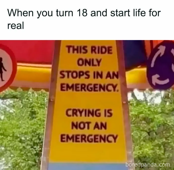50 Funny And Random Memes To Brighten Your Day