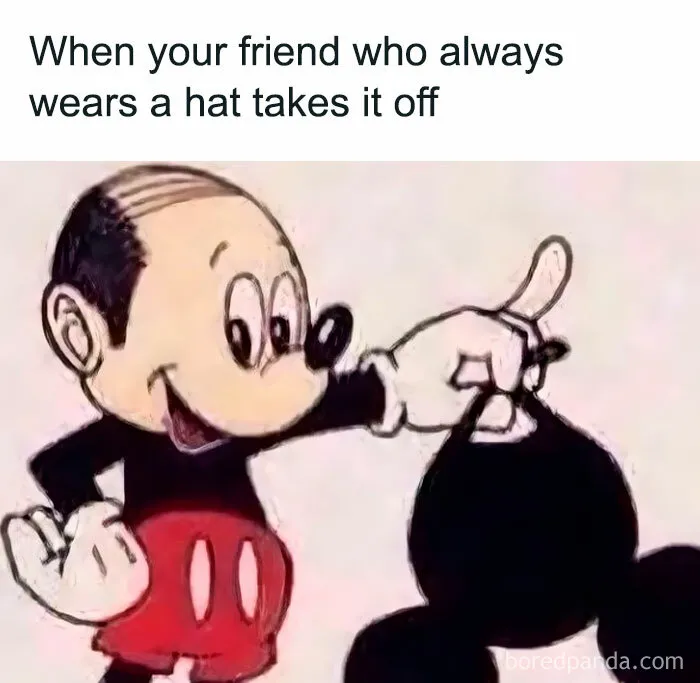 50 Funny And Random Memes To Brighten Your Day