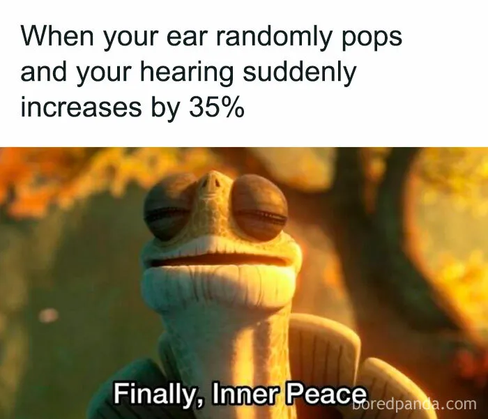 50 Funny And Random Memes To Brighten Your Day