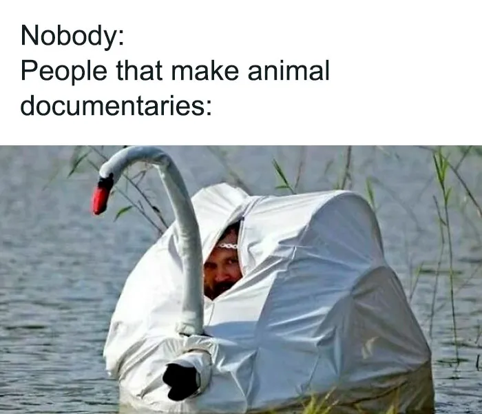 50 Funny And Random Memes To Brighten Your Day