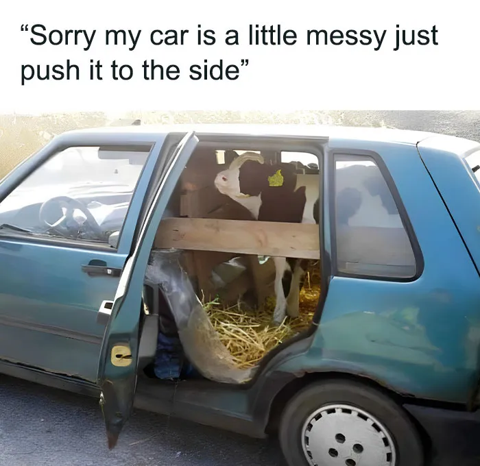 50 Funny And Relatable Memes For Everyone Who Is Just Trying To Survive In Eastern Europe