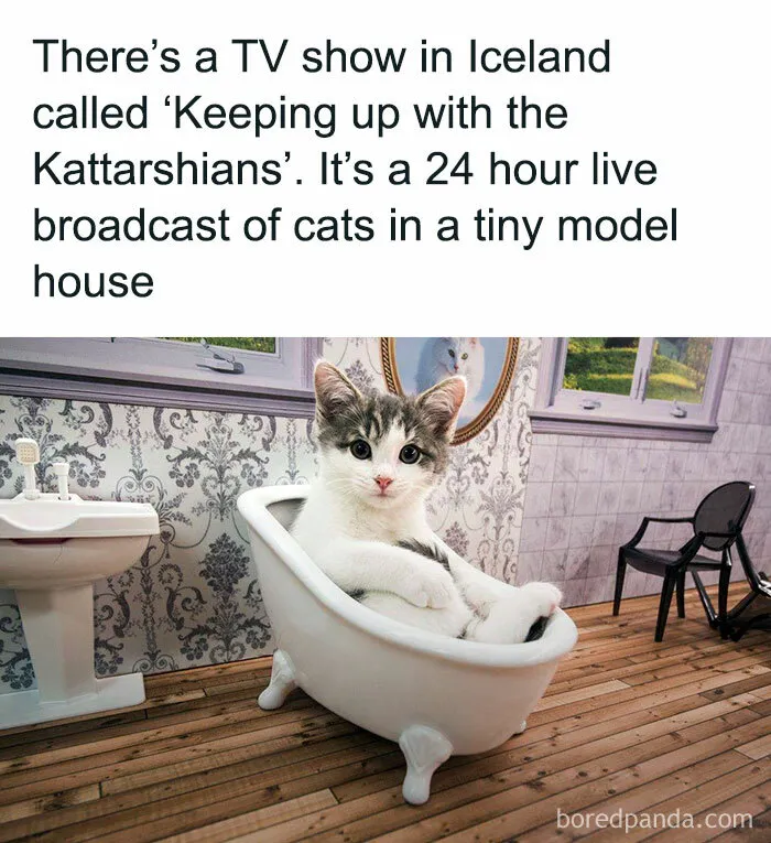 50 Heartwarming Posts To Combat The Negativity Of The World