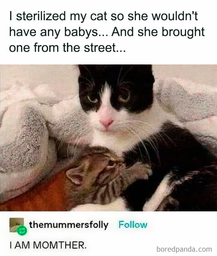 50 Heartwarming Posts To Combat The Negativity Of The World