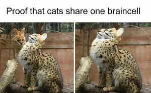 50 Heartwarming Posts To Combat The Negativity Of The World