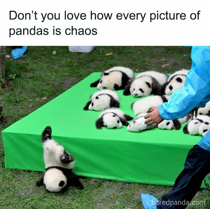 50 Heartwarming Posts To Combat The Negativity Of The World