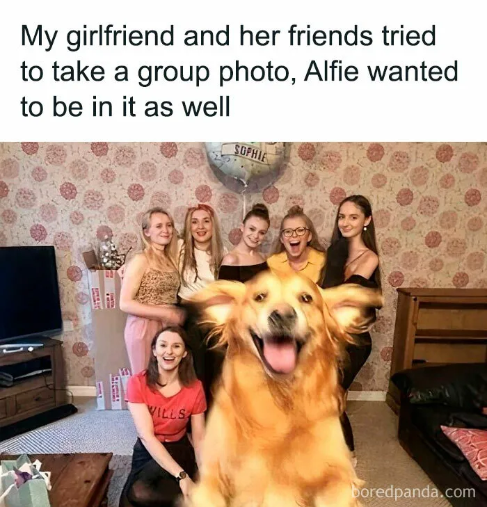 50 Heartwarming Posts To Combat The Negativity Of The World