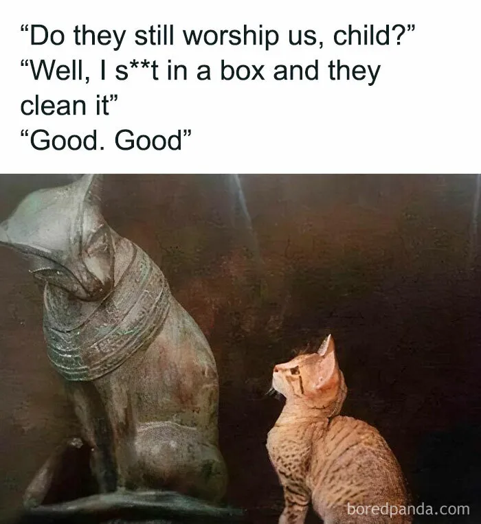 50 Heartwarming Posts To Combat The Negativity Of The World