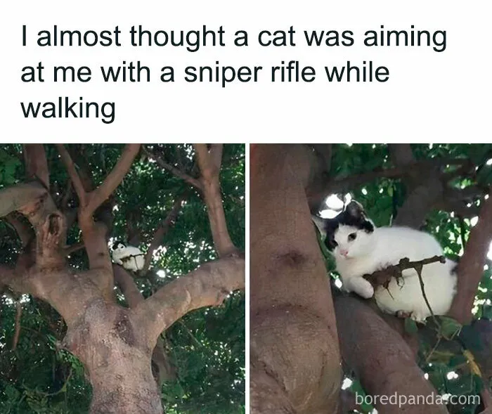 50 Heartwarming Posts To Combat The Negativity Of The World