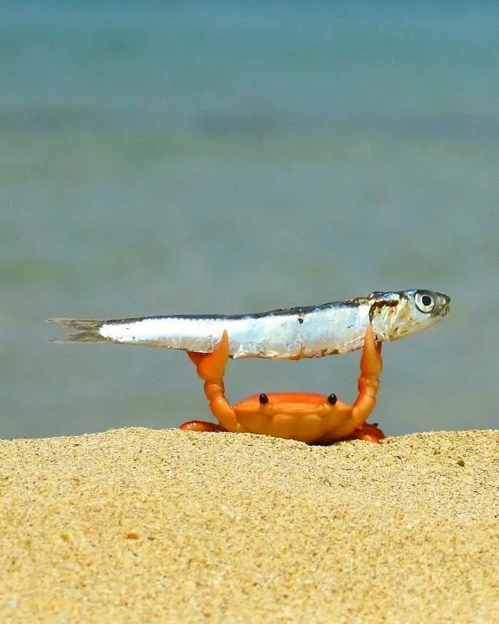 Here Are 40 Of The Most Interesting Images Selected By This Instagram Page (New Pics)