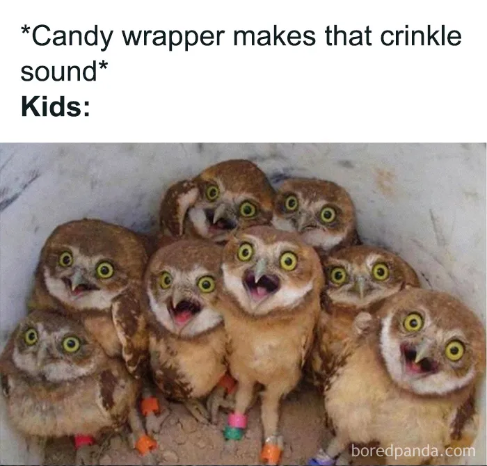 50 Of The Funniest Fatherhood Memes Shared By This Online Community Of Dads