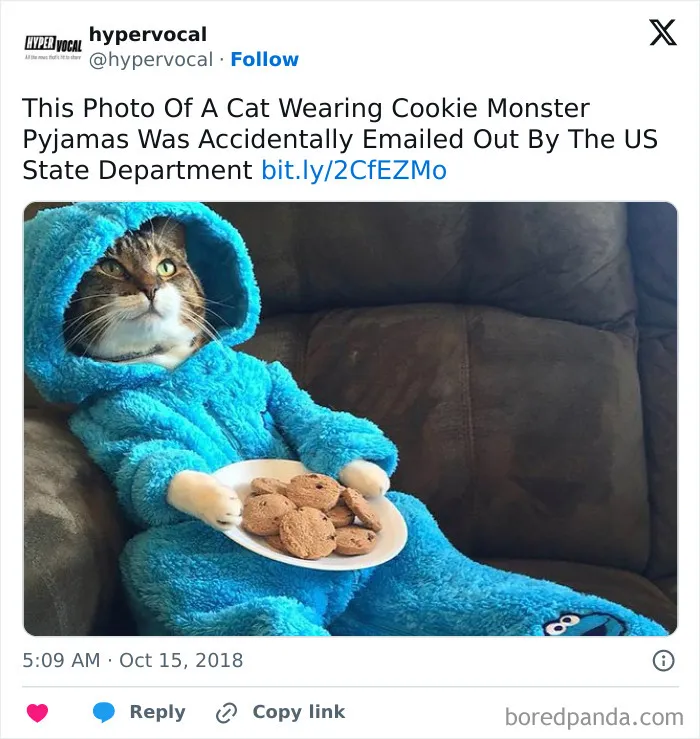 The US Embassy In Canberra, Australia, Accidentally Emailed A "Meeting" Invitation To The State Department That Featured A Cat Wearing Cookie Monster Pajamas
