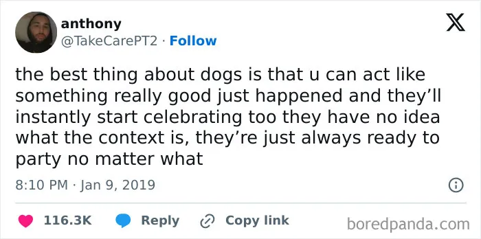 50 Wholesome Memes Shared By This Page To Brighten Up Your Day