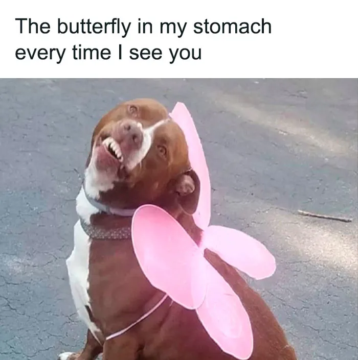 80 Funny Relationship Memes That Every Couple Will Relate To