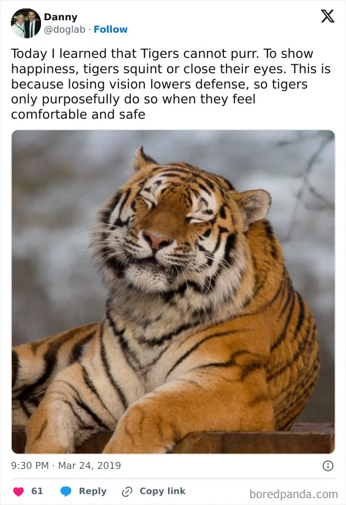 50 Wholesome Memes And Posts That Remind Us The World Isn’t All Bad