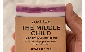 35 Funny Posts Drawing Attention To The Often Forgotten Middle Children