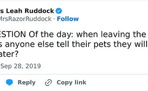 50 Wholesome Memes And Posts That Remind Us The World Isn’t All Bad