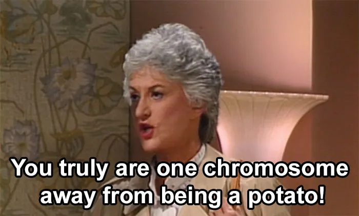 30 Hilariously Brilliant Reaction Memes That People Deserve For Making Dumb Decisions