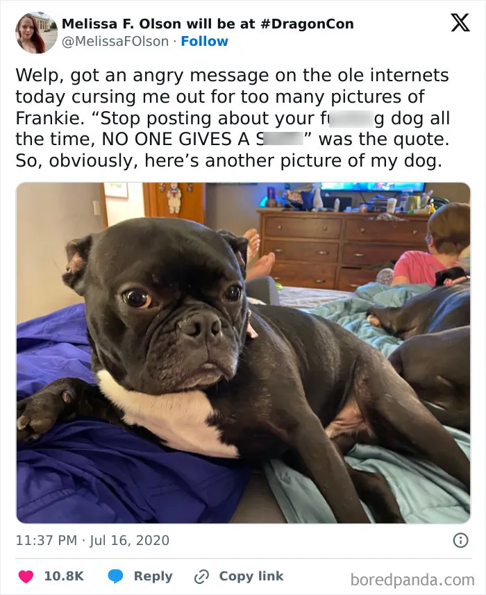 50 Of The Most Hilarious, Cute And Wholesome Posts On X About Dogs