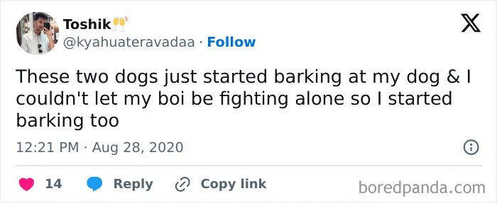 50 Of The Most Hilarious, Cute And Wholesome Posts On X About Dogs
