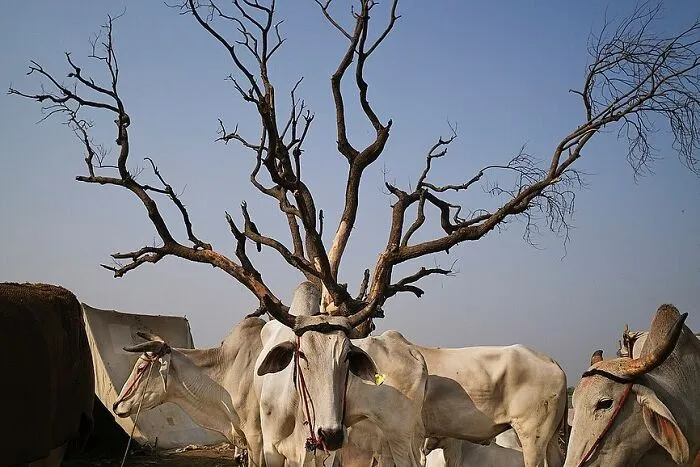 Here Are 40 Of The Most Interesting Images Selected By This Instagram Page (New Pics)