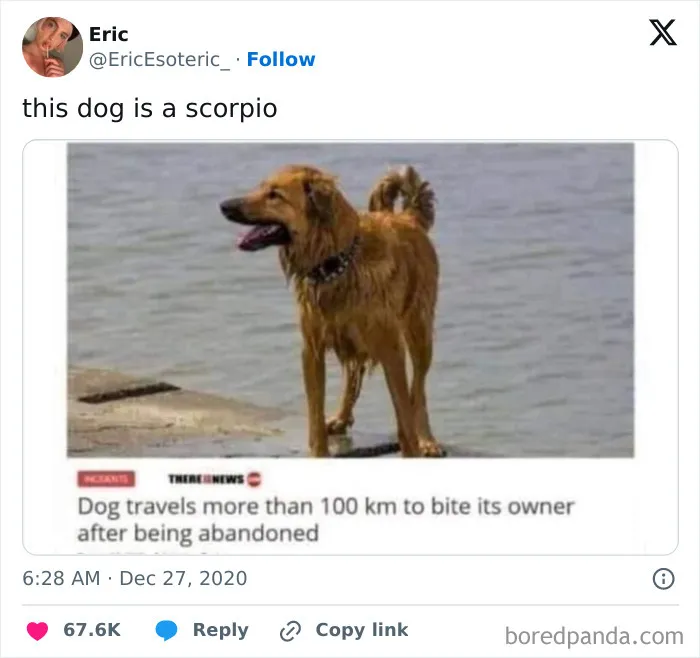 50 Of The Most Hilarious, Cute And Wholesome Posts On X About Dogs