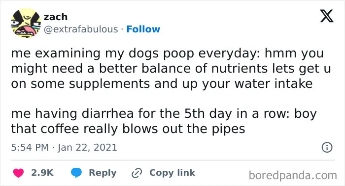 50 Of The Most Hilarious, Cute And Wholesome Posts On X About Dogs