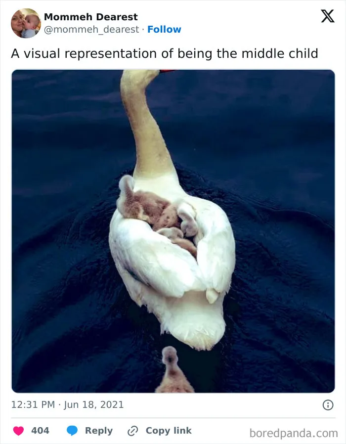 35 Funny Posts Drawing Attention To The Often Forgotten Middle Children