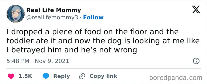 50 Hilarious Tweets From Parents Who Aren’t Afraid To Tell It Like It Is (Best Of All Time)