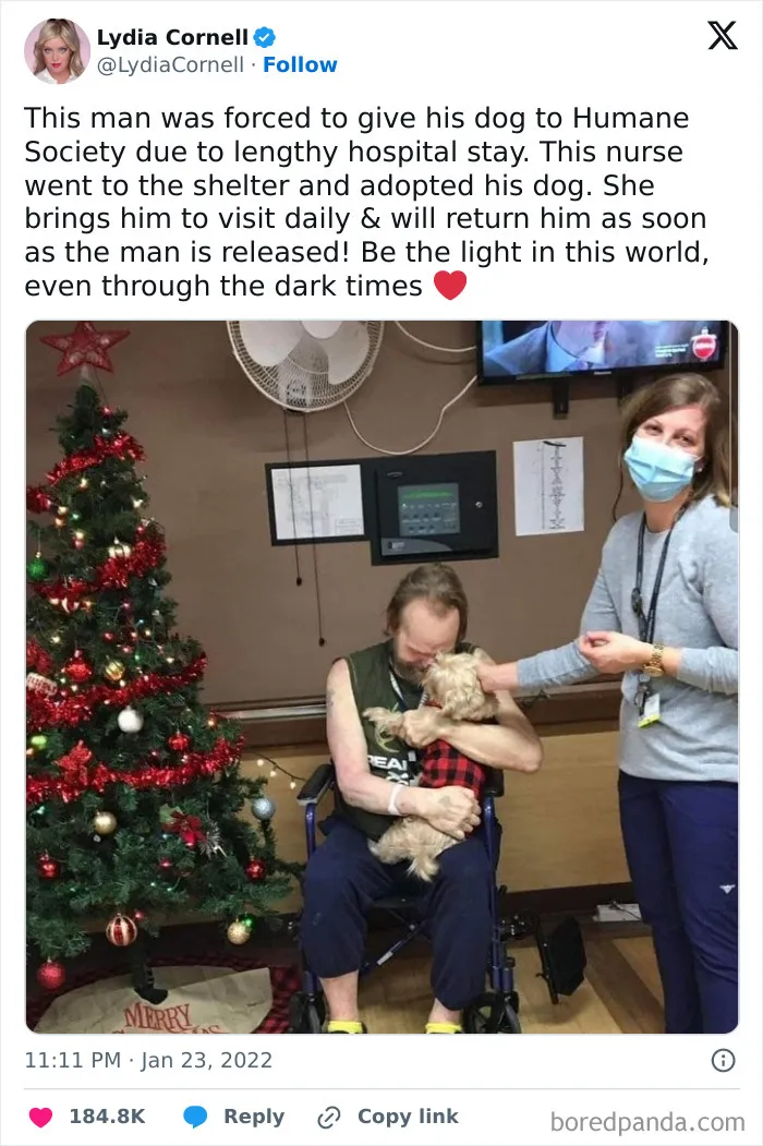 50 Wholesome Memes Shared By This Page To Brighten Up Your Day