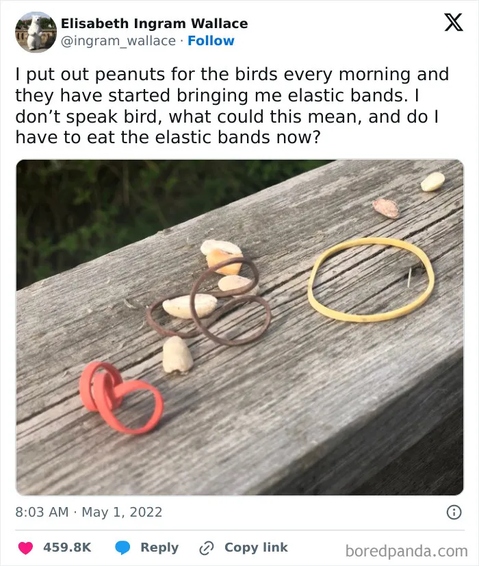 50 Entertaining Posts And Memes To Help You Fight Boredom (New Pics)