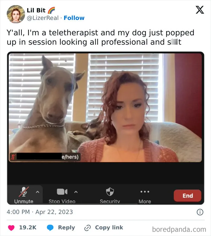 50 Of The Most Hilarious, Cute And Wholesome Posts On X About Dogs
