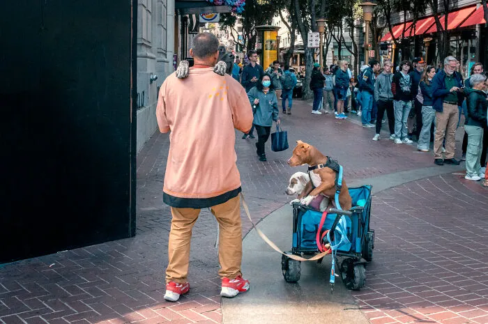 "Man's Best Friend"