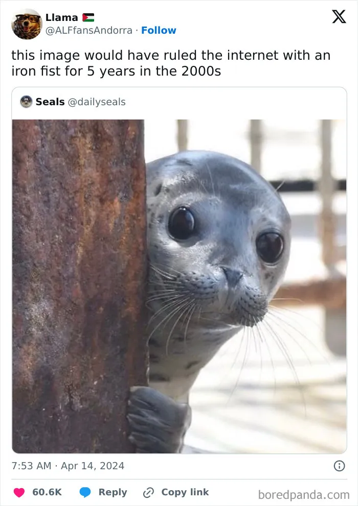 50 Adorable Animal Memes That May Give You That Serotonin Boost For Today
