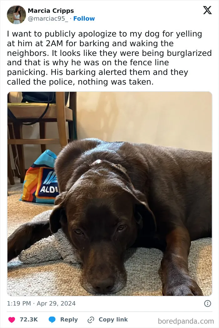 50 Of The Most Hilarious, Cute And Wholesome Posts On X About Dogs