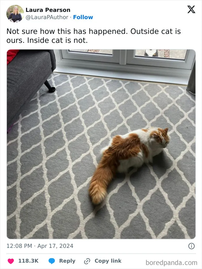 50 Hilarious Photos And Memes That Prove Cats Are The Biggest Jerks