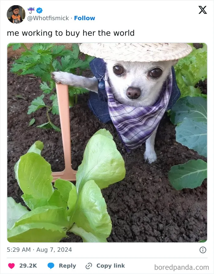 50 Hilariously Relatable Memes About Mostly Everything