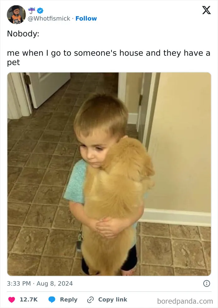 50 Hilariously Relatable Memes About Mostly Everything