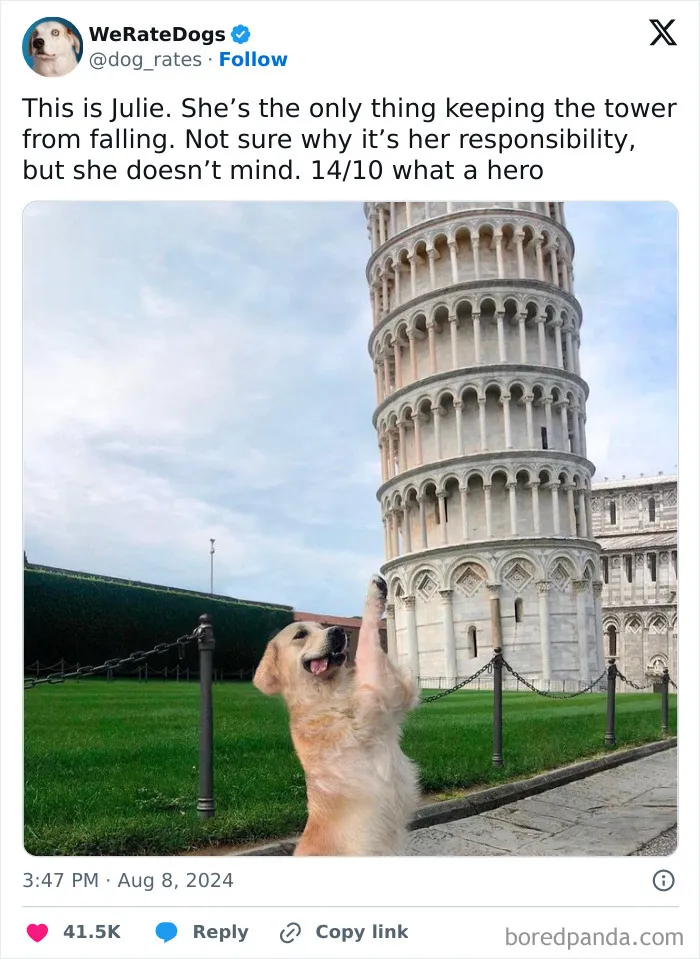 50 “Professional Dog Ratings” That Got The Best Of The Best Puppers Featured On This X Page (New Pics)