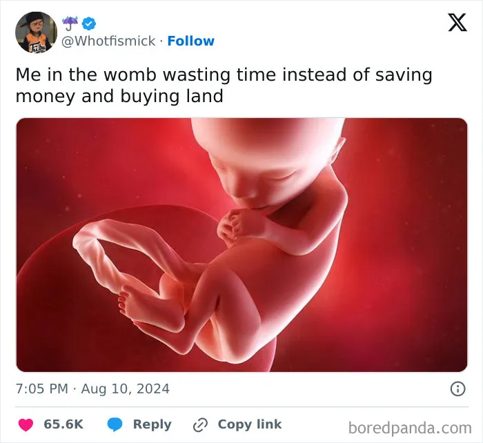 50 Hilariously Relatable Memes About Mostly Everything