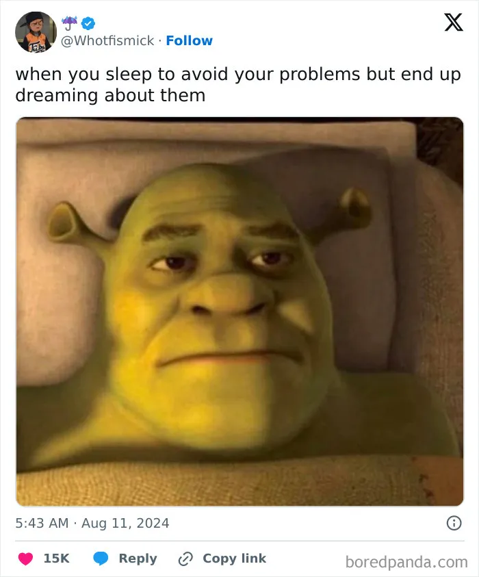 50 Hilariously Relatable Memes About Mostly Everything